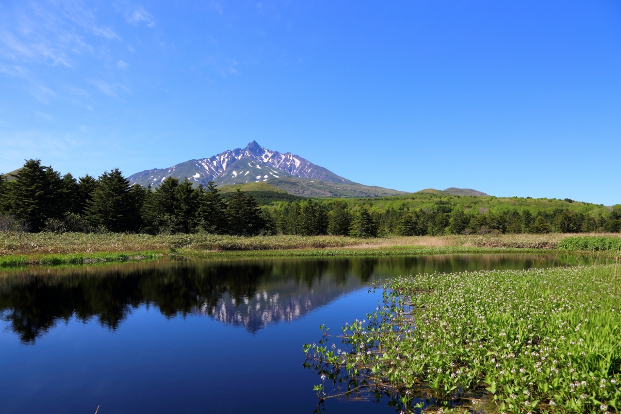 南浜湿原から利尻山を望む
